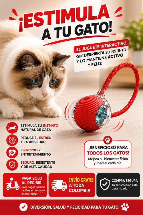 PELOTA DE GATO
